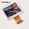 2.36 inch QVGA 480*234 pixel TFT micro lcd display (PJ236002T)
