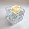 Square Shape Clear Glass Vase for Succulent Plants