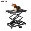 Large animals dog cat pet adjustable height black electric grooming table professional dog grooming equipment