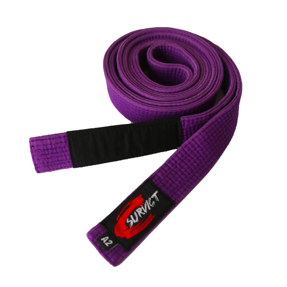 BJJ Belt System