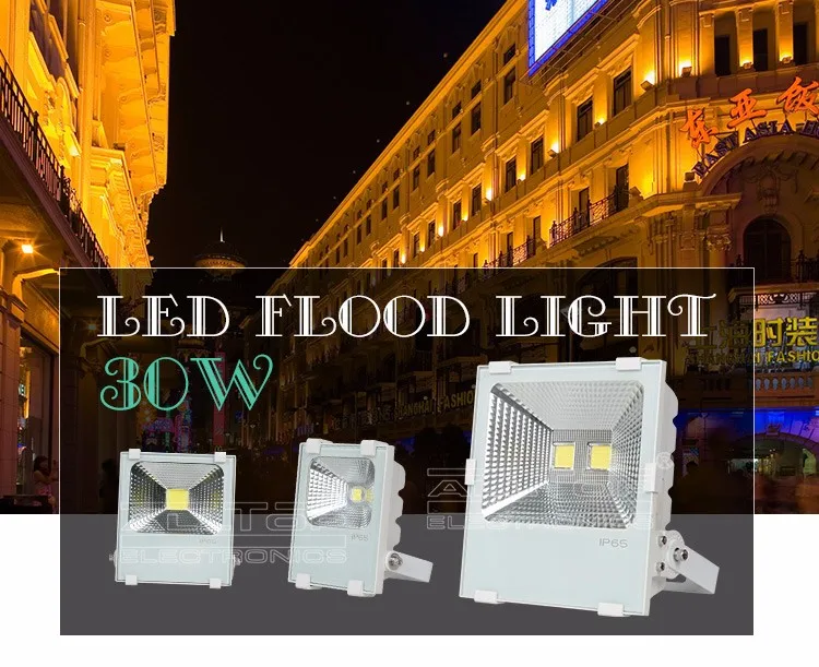 High quality die cast aluminum portable generator 30 w led flood light