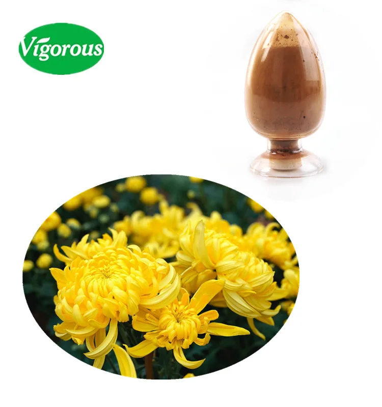 chrysanthemum extract/wild chrysanthemum extract/chrysanthemum flower