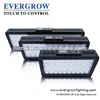 EverGrow IT2080 dimmable 20000k led aquarium led light cree