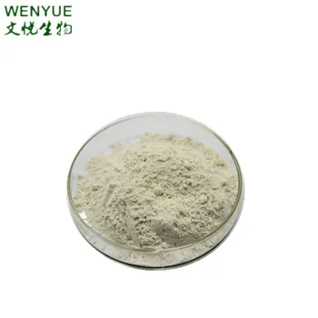 Psyllium husk para adelgazar