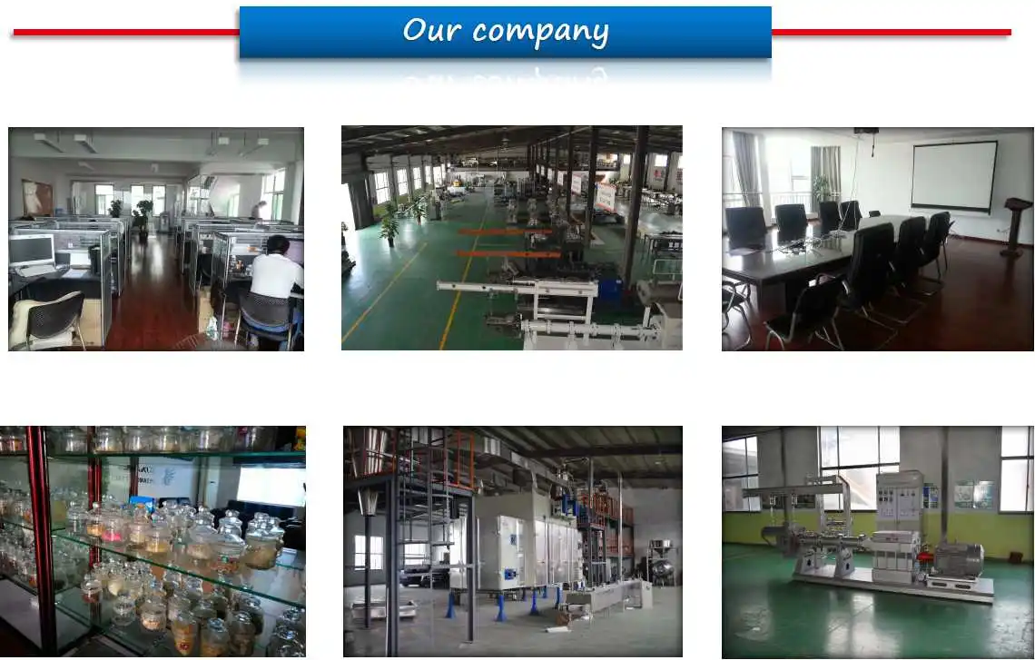 Company6.jpg