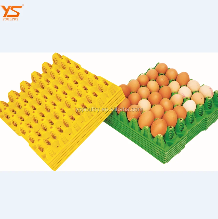 egg tray08.png