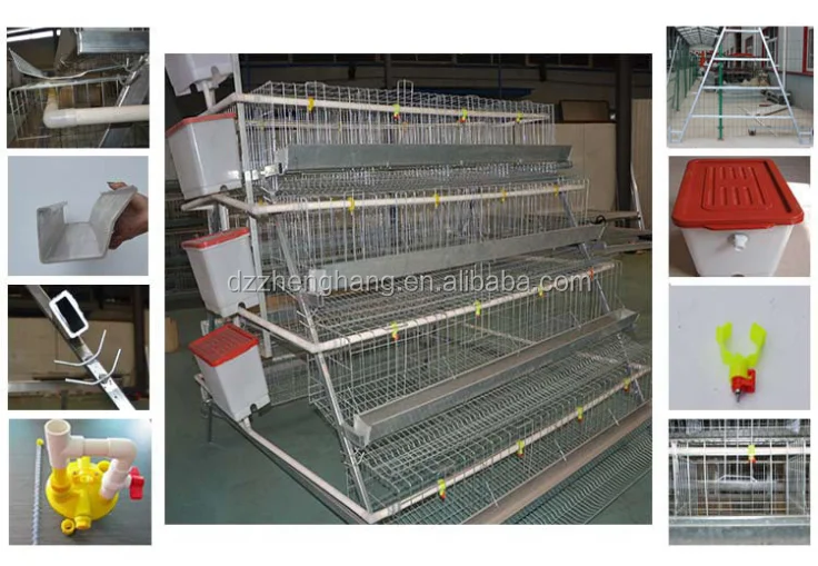 4layer chicken cages.png