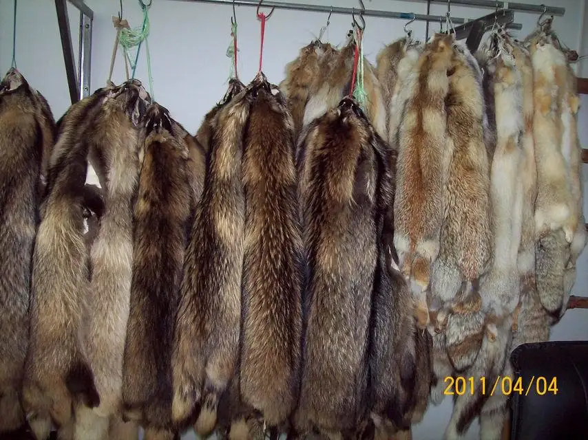 Animal Fur Pelts Real Raccoon Dog Fur Skins High Quality Chinese