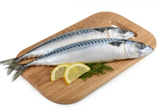 Mackerel-1.JPG