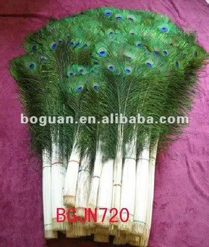 Indian Peacock Feather Buy Artificial Peacock Feathers Peacock