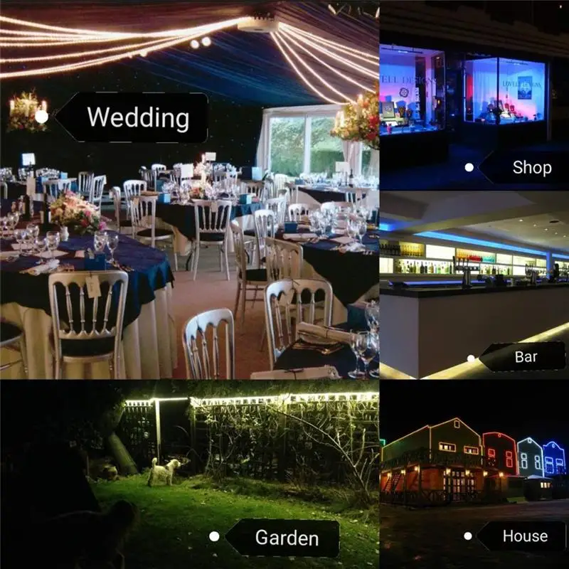 Colorful Round Two Wire 24v Led Neon Flex Rope Lights Outdoor Outdoor / Wedding / Party Christmas / Garden / Pub IP44 220 -20-40