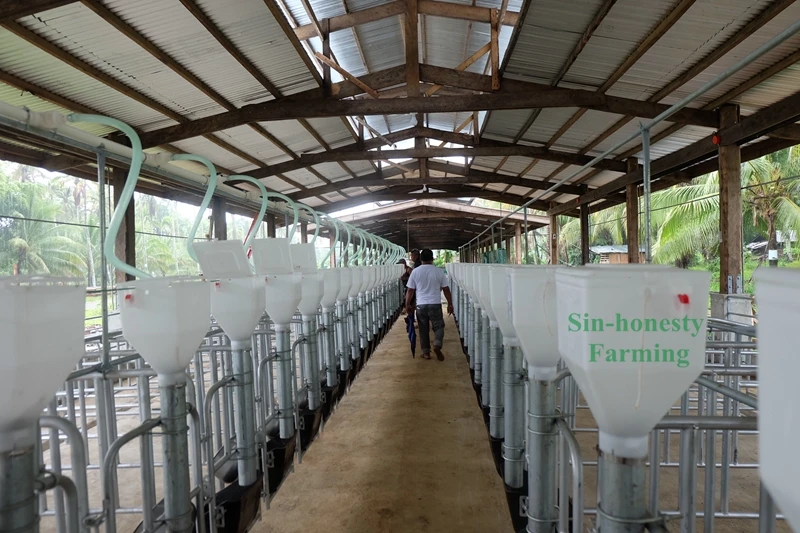 China Factory Animal Cage Hot Galvanized Pig Gestation