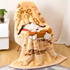 /product-detail/i-home-double-layer-thick-kids-lunch-break-warm-cloud-raschel-super-soft-baby-throw-blanket-62210302095.html