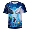 Hot move how to train your dargon 3 3d printed t shirt whosale stock no moq printed t shit under print how to train your dargon