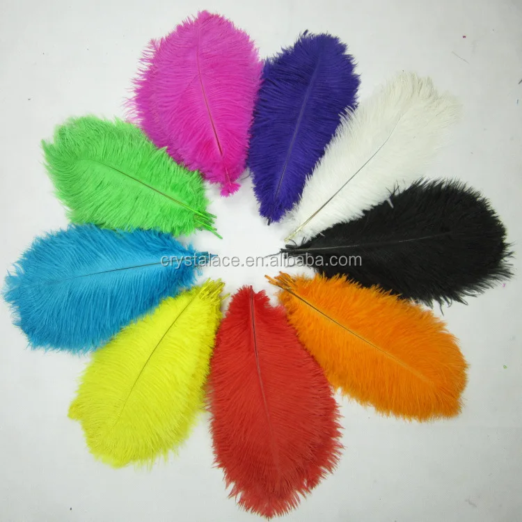 plumes for sale