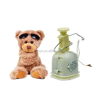 recordable teddy