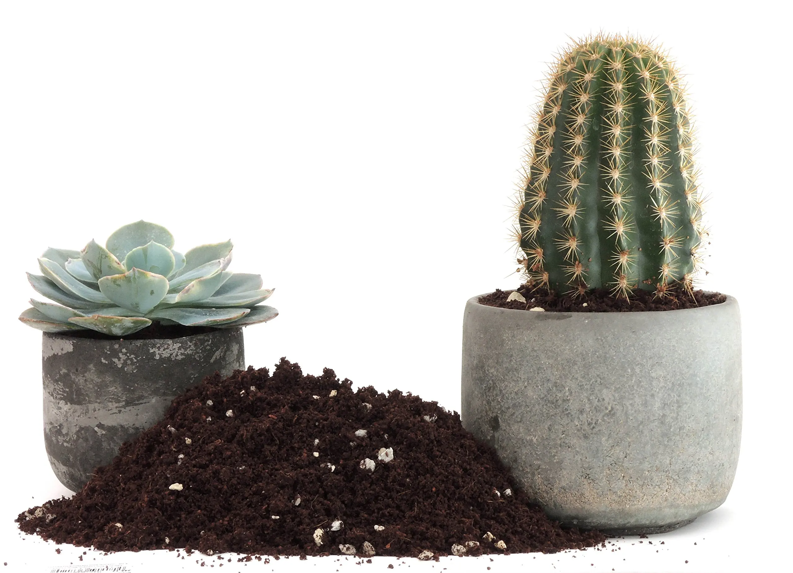 Cheap Cactus Soil Find Cactus Soil Deals On Line At Alibaba Com