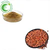Hot Selling Pure High Quality Natural Organic Wild Jujube Seed Jujuba Extract