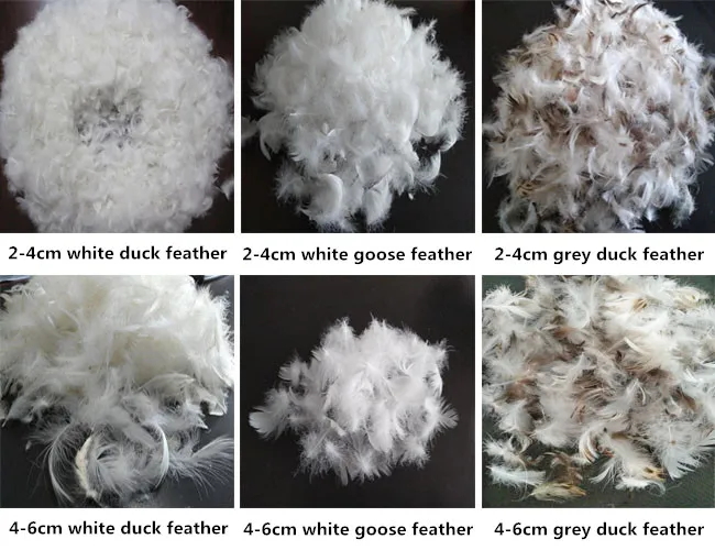 Natural Raw Material White Duck Down Feather Wholesale Buy Feather