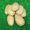 Price Potato Product Type and Fresh Style Potatoes