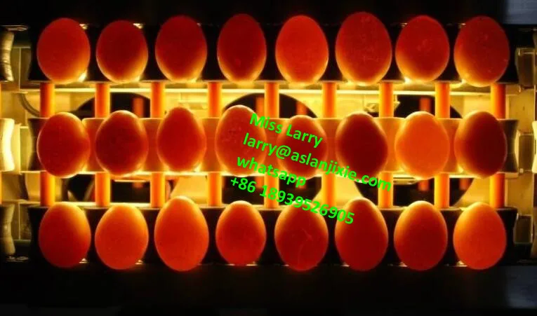 Egg Testing Machine/chicken Egg Light Checking Machine/egg ...