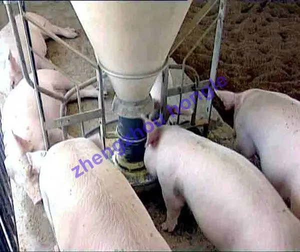 feeder 4.jpg