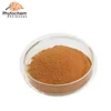 Hot Sale Natural Andrographis 98% Paniculata Extract Powder