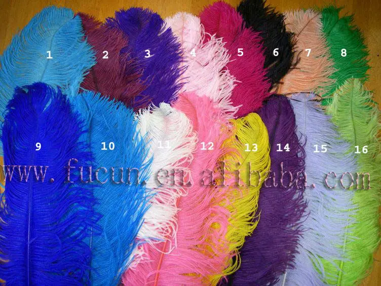 Jumbo Ostrich Plumes.jpg