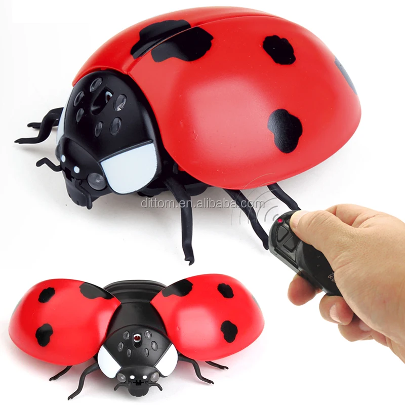 rc ladybug