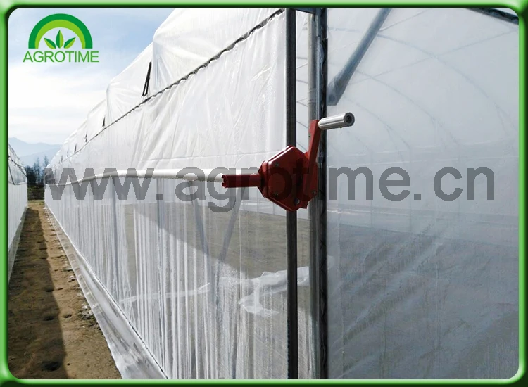 victorian greenhouse.jpg