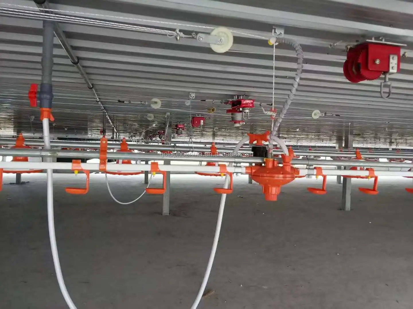 Automatic Poultry Equipment Broiler Feeding And Drinking System Chicken ...