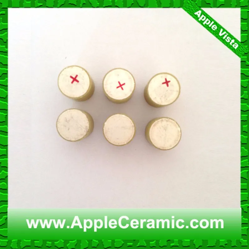 10x10 piezo element (3)