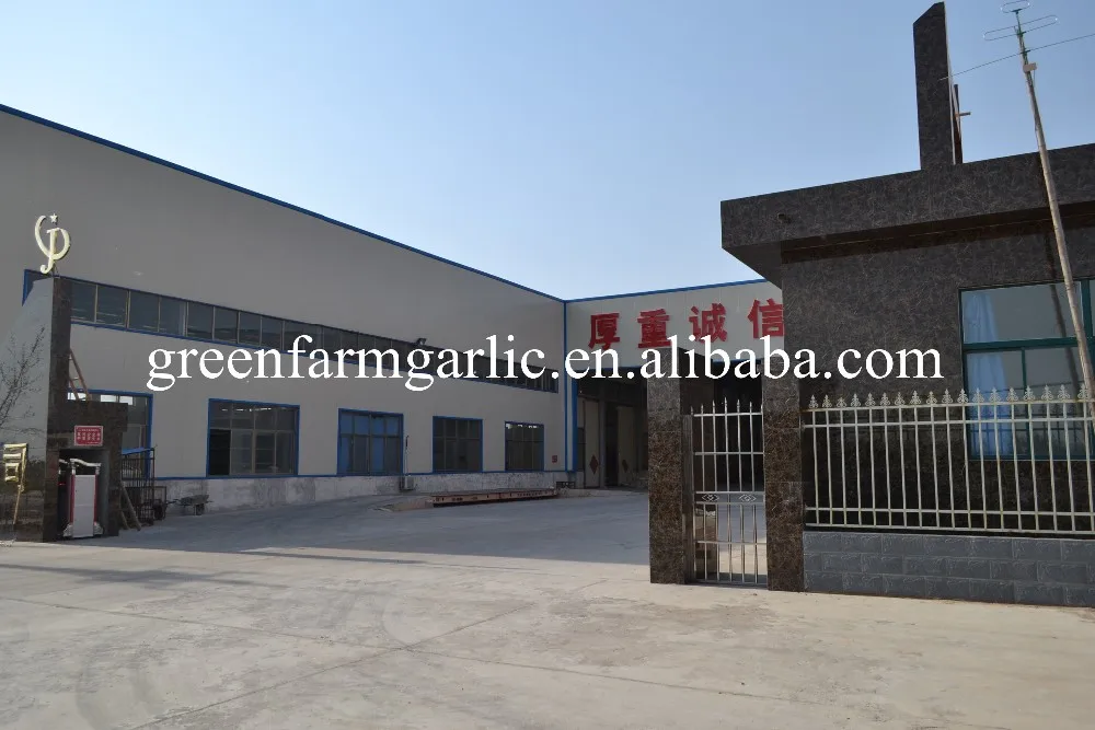 garlic factory
