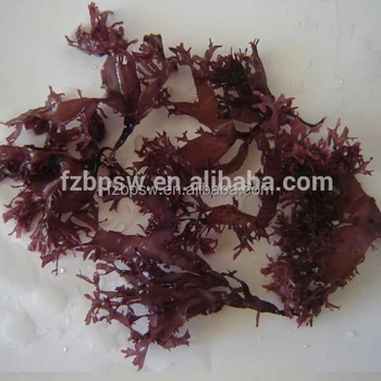 dried red seaweed