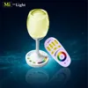 2.4G RF rechargeable decoration light tree smart Win light RGBW wifi decoration light tree