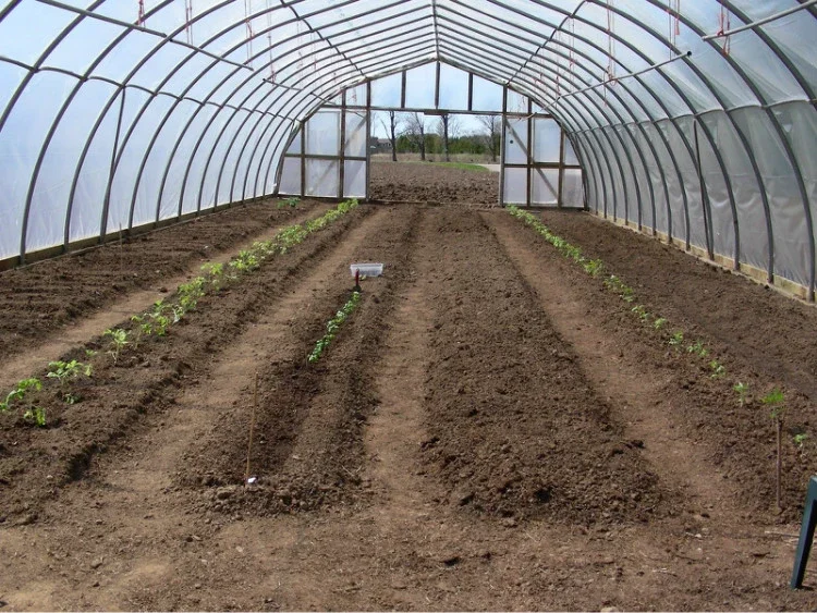 single span greenhouse  6.png