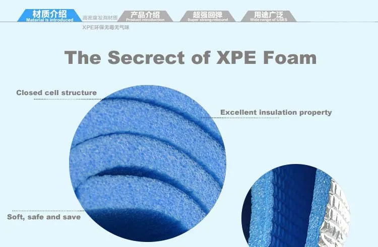 XPE introduction.jpg