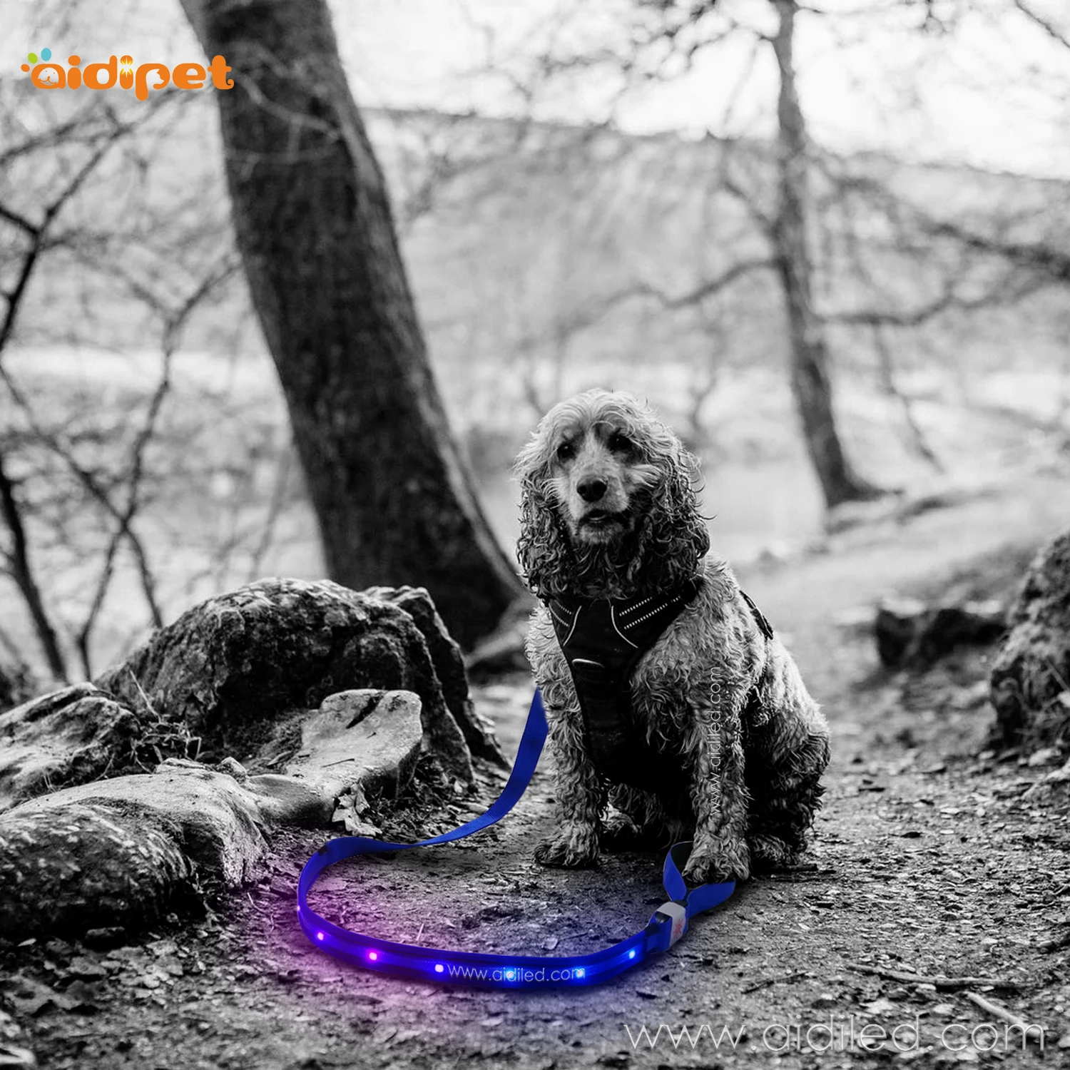 RGB Blink Colorful Led Pet Leash for Dogs Very Cool Pet Supplies Fish Silk Cover Light Up Lead 120cm Length