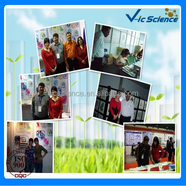 geology microscope prepared slides.jpg