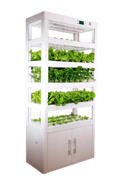 Grow Greens Indoors With Led Hydroponic Cultivator Indoor Cultivating ...