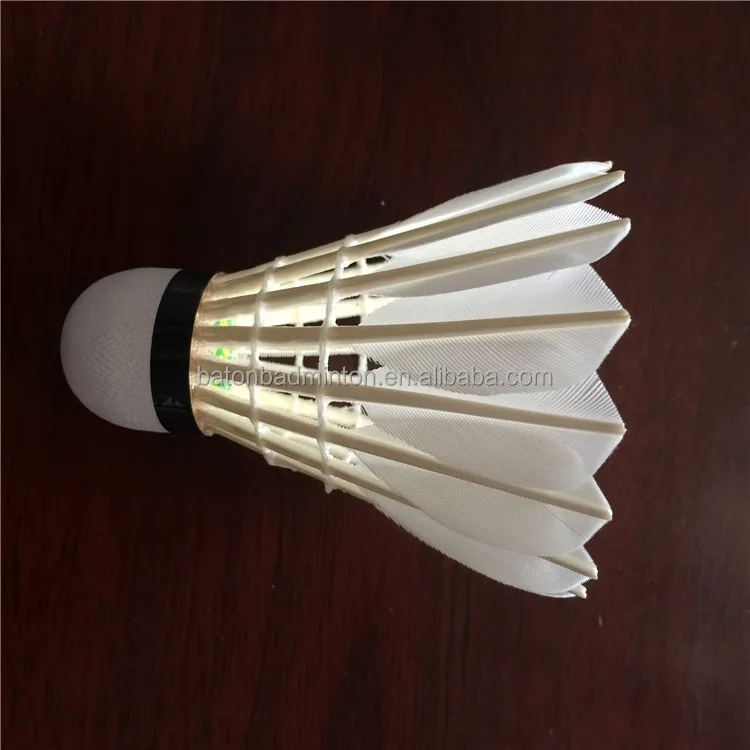 Fotos spanish, Montones de galerías de fotos en imagen spanish