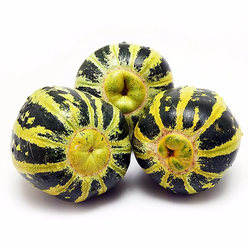 Hybrid F1 High Sugar Content Melon Seeds Buy Orange Flesh Melon Seed