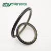 Hydraulic ptfe rod buffer seal