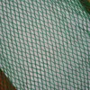 Fruit Tree Anti Bird Net