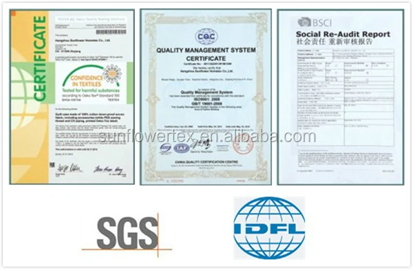 6 certificate