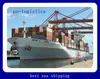 professional operator and best rate container sea freigth from china to KILKENNY----Sophie