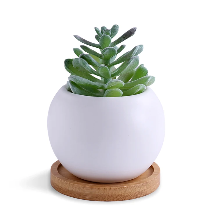 Sale Round Pots Indoor Small Succulent Pots With Bamboo Tray Buy