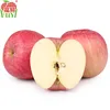 Hot Sale Crisp & Sweet Fresh Fuji Apples From China