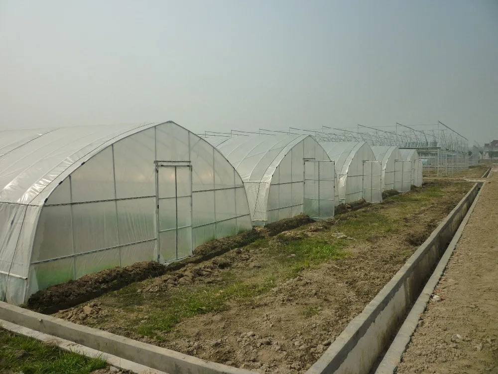 Polytunnel/fire Retardant Chicken Greenhouse,Chicken House,Fiberglass