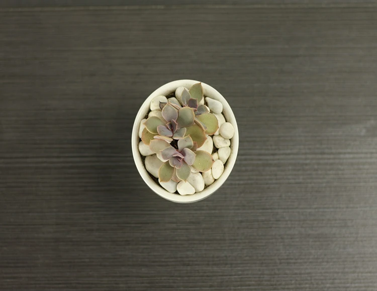 Windowsill Adornment Hexagon White Ceramic Indoor Pots For Succulent